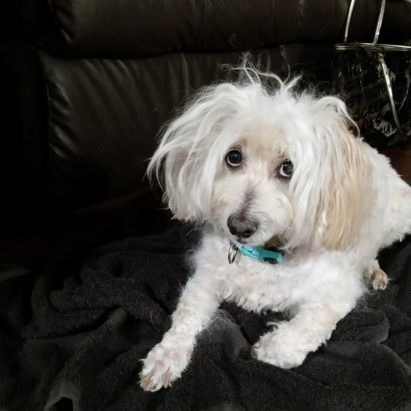 EVERYTHING MUST GO ! - Picture 2 of 3